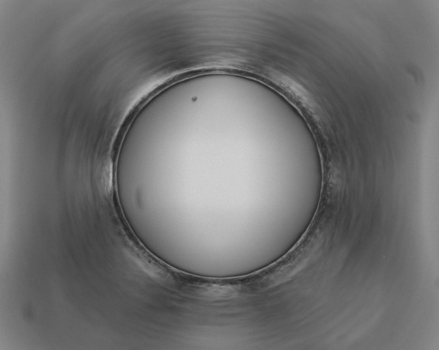 X0000113341324200910060949