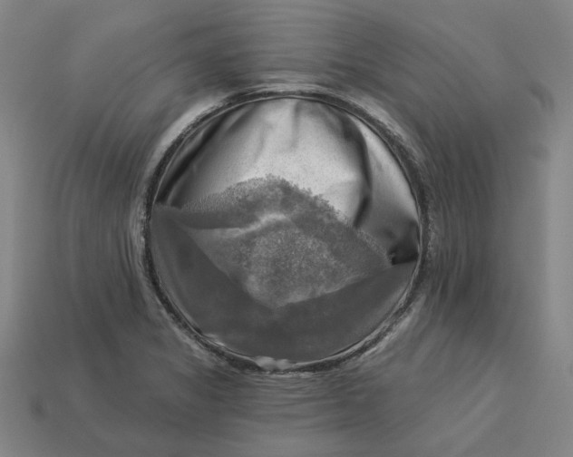 X0000113341325200910060949