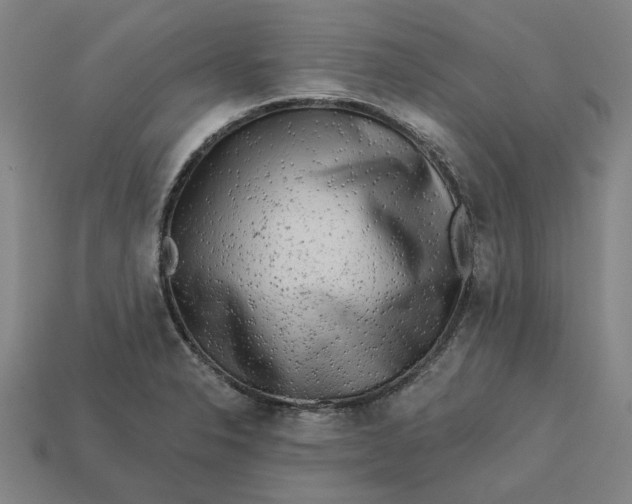 X0000113341326200910060949