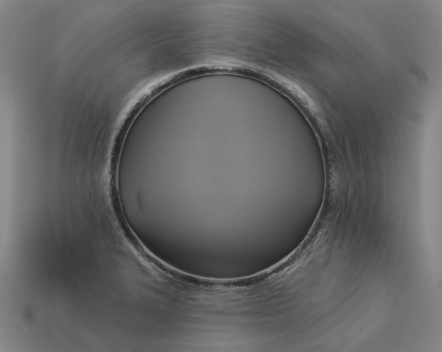 X0000113341327200910060949