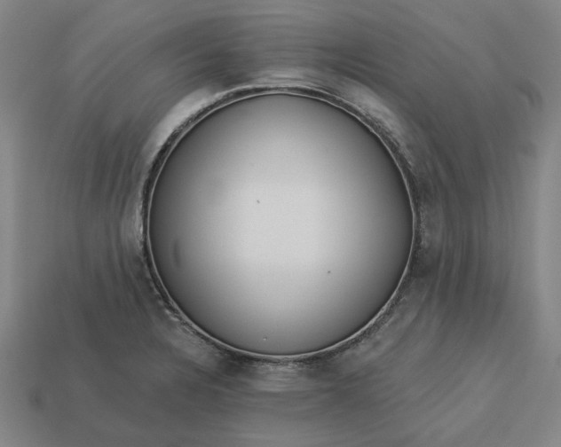 X0000113341328200910060949