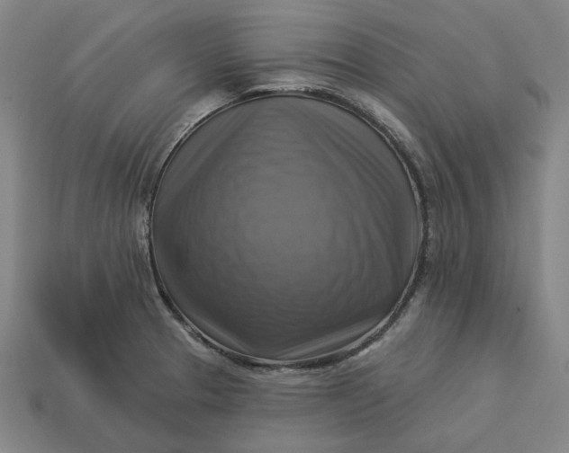 X0000113341329200910060949