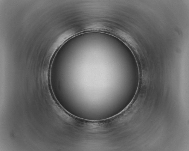 X0000113341330200910060949