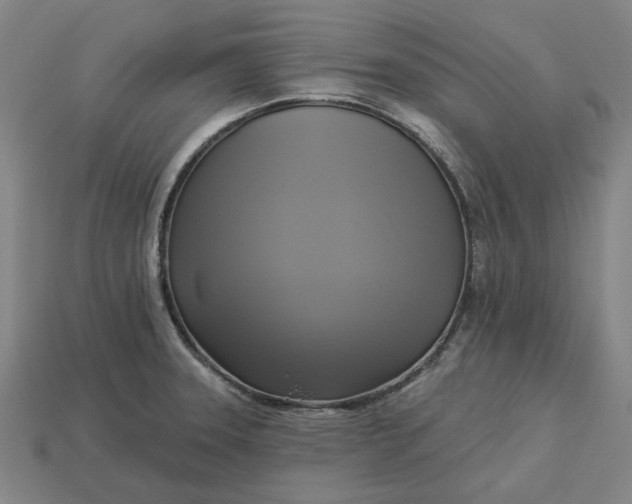 X0000113341331200910060949