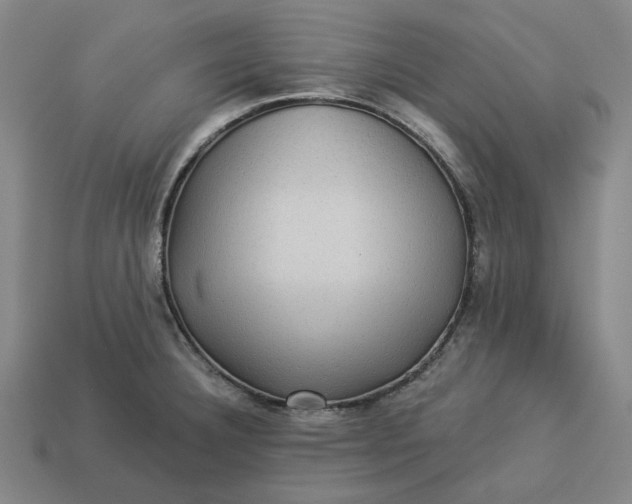 X0000113341332200910060949