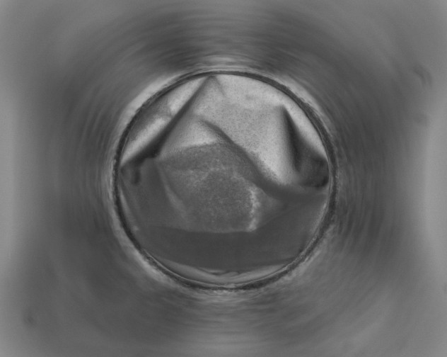 X0000113341333200910060949