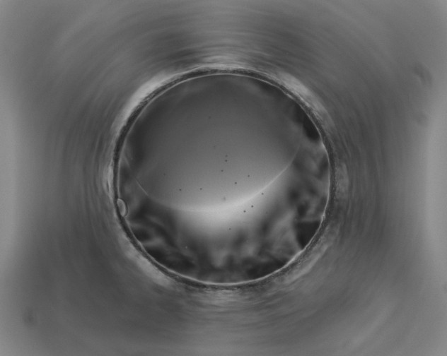 X0000113341334200910060949