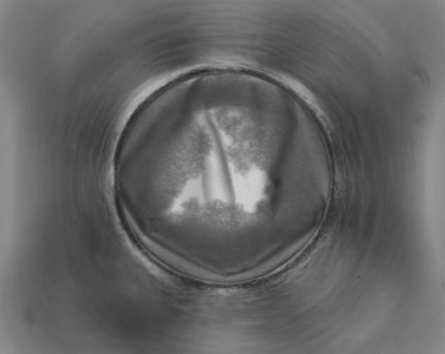 X0000113341335200910060949