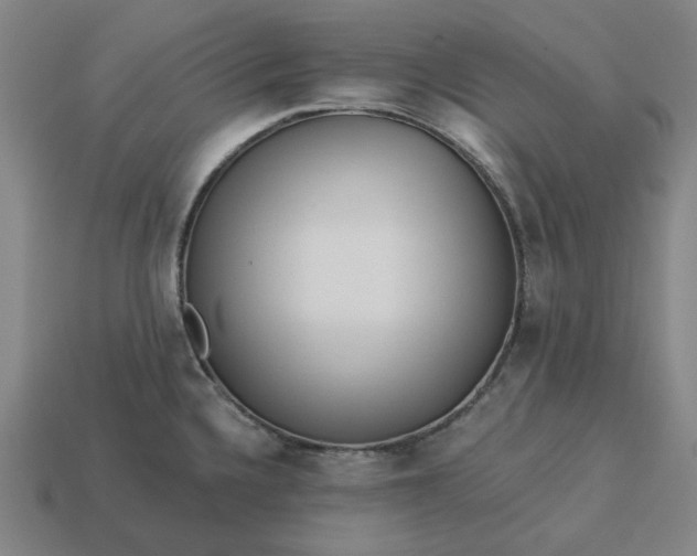 X0000113341336200910060949