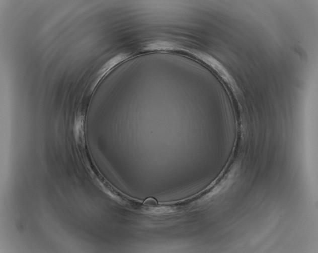 X0000113341337200910060949