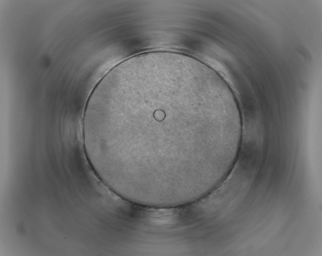 X0000113341338200910060950