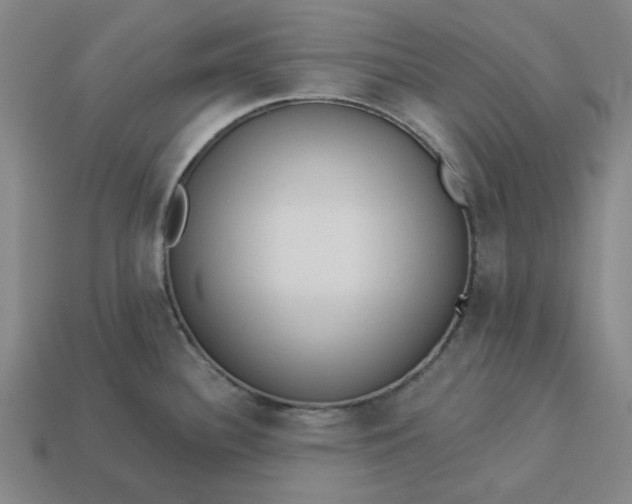 X0000113341340200910060950