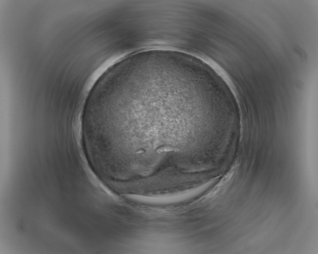 X0000113341341200910060950