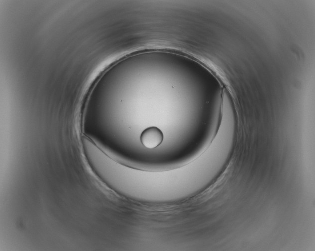 X0000113341342200910060950