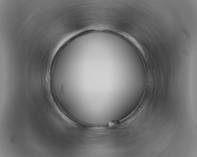 X0000113341343200910060950