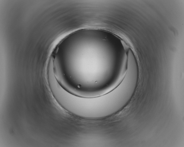 X0000113341344200910060950