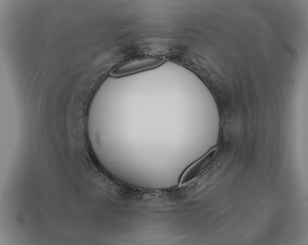 X0000113341345200910060949