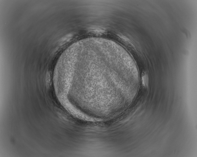 X0000113341347200910060949