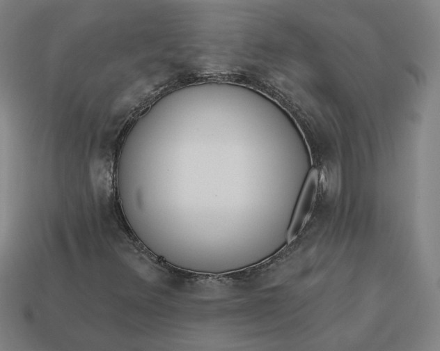 X0000113341348200910060949