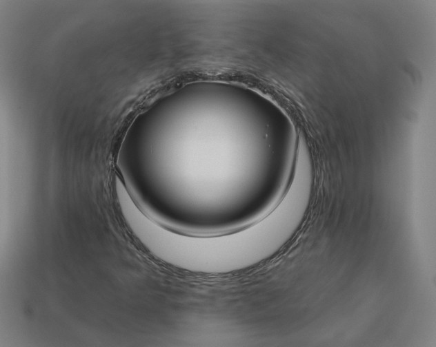 X0000113341349200910060949