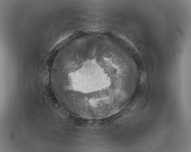 X0000113341350200910060949