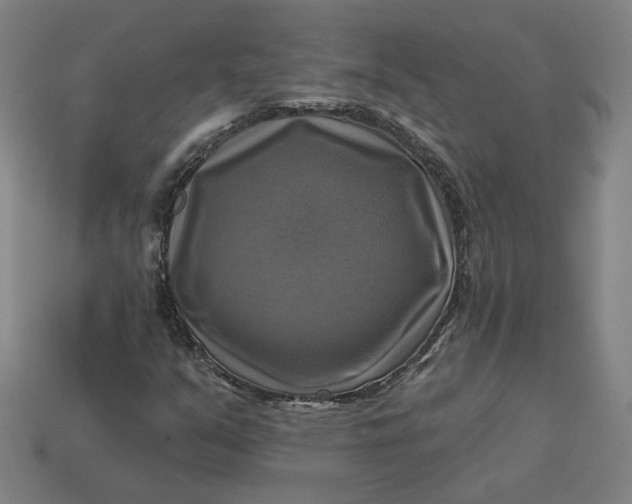 X0000113341351200910060949