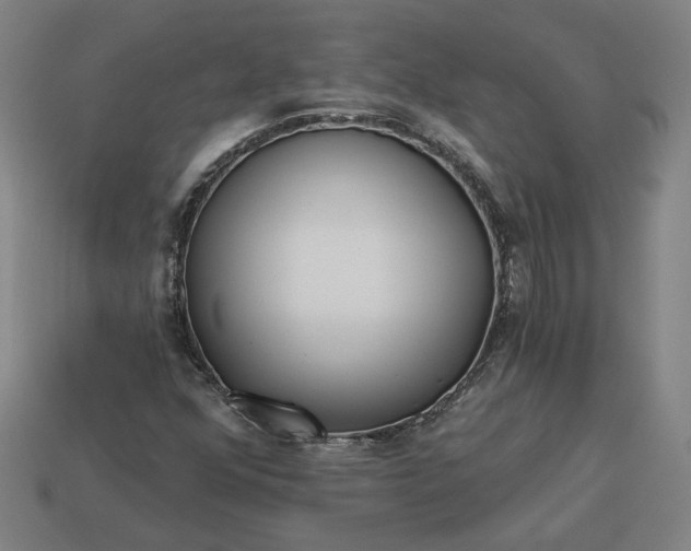 X0000113341352200910060949