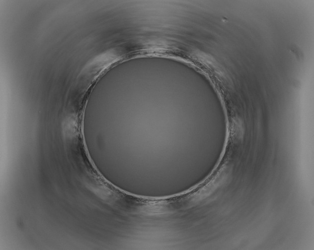 X0000113341353200910060949