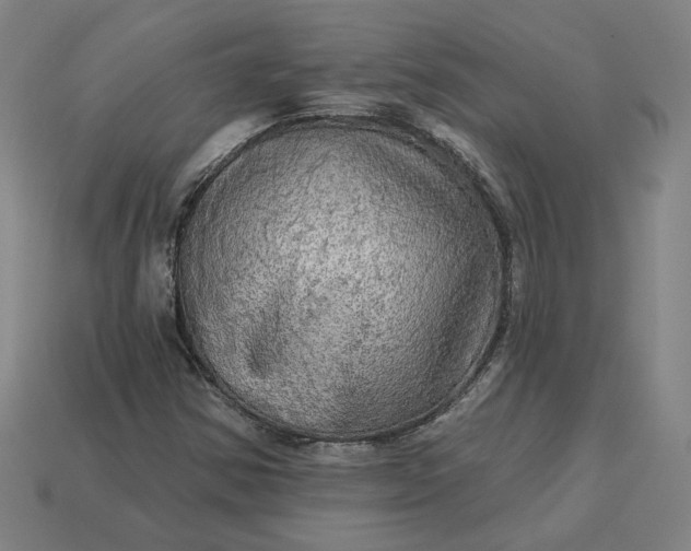 X0000113341354200910060949