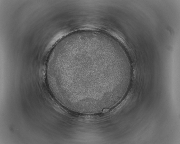 X0000113341355200910060949