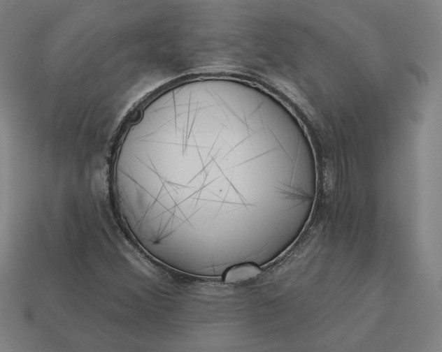 X0000113341356200910060949