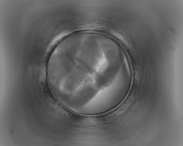 X0000113341358200910060949