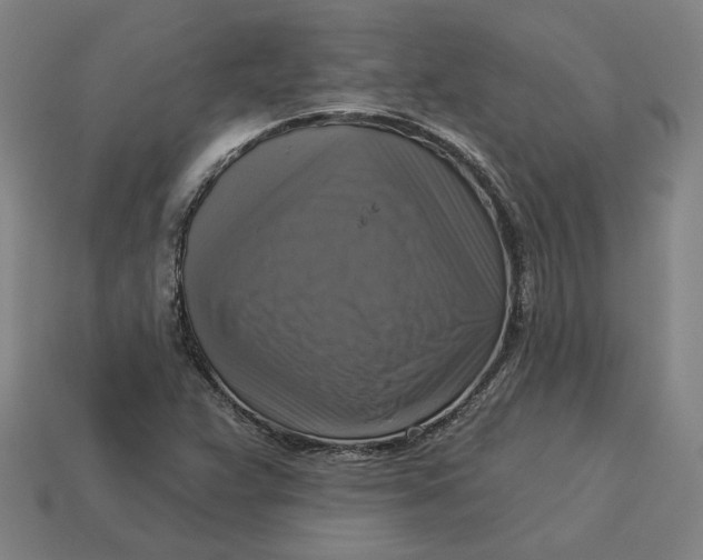 X0000113341359200910060949