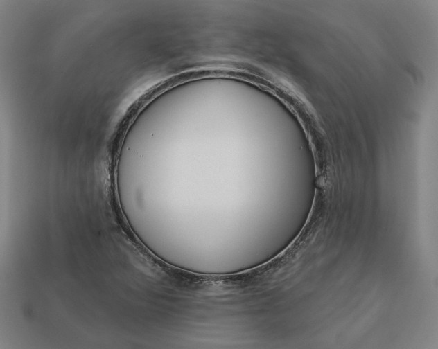 X0000113341360200910060949