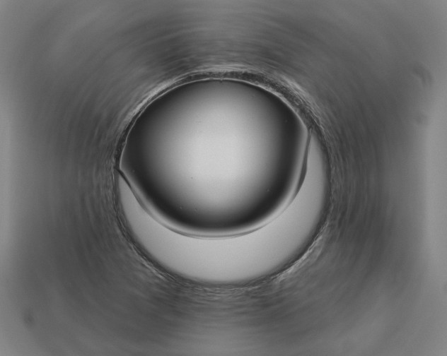 X0000113341361200910060949