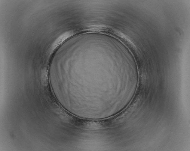 X0000113341362200910060949