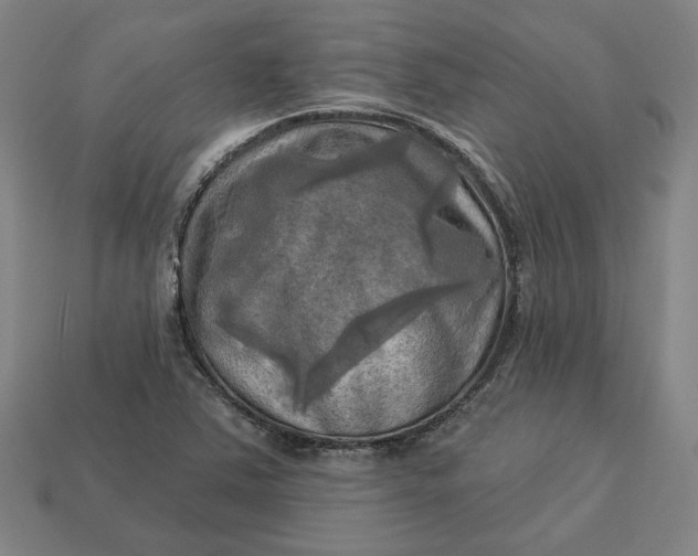 X0000113341363200910060949