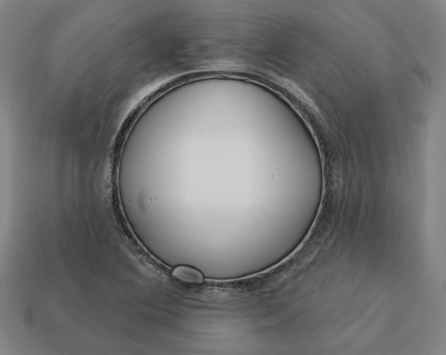 X0000113341364200910060949