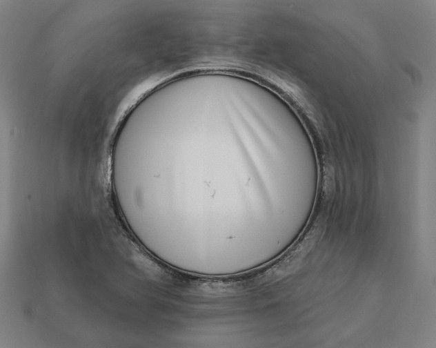 X0000113341366200910060949