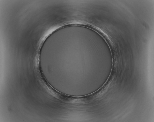 X0000113341367200910060949