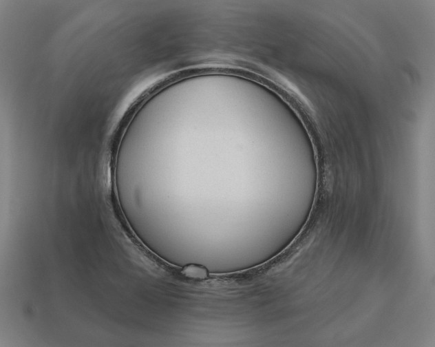 X0000113341368200910060949