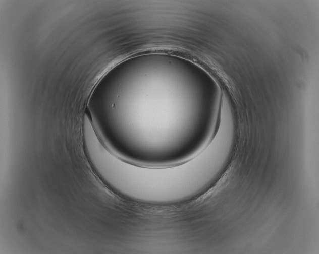 X0000113341369200910060949