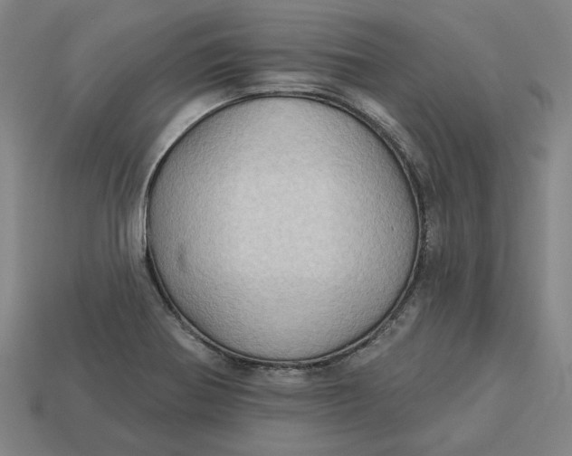 X0000113341370200910060949