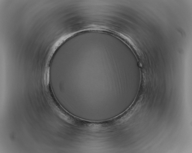 X0000113341371200910060949