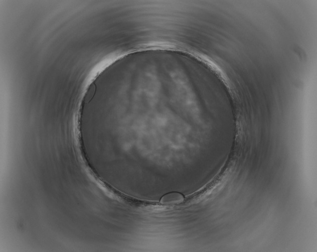 X0000113341373200910060949