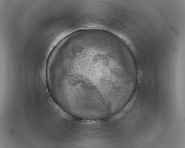 X0000113341374200910060949