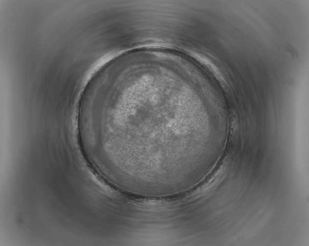 X0000113341375200910060949