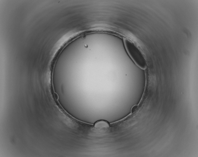 X0000113341376200910060949