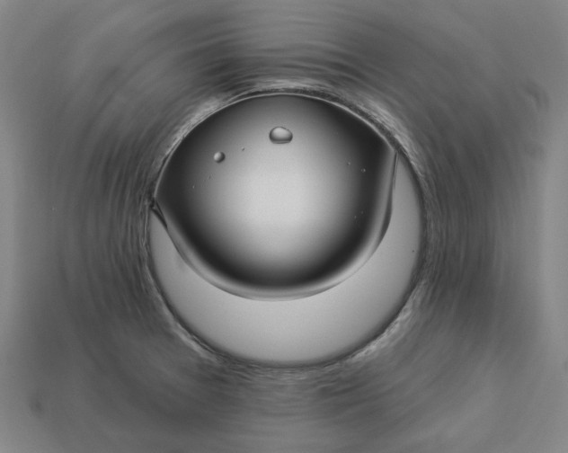 X0000113341377200910060949