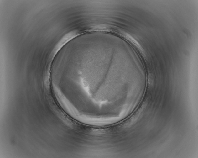 X0000113341378200910060949